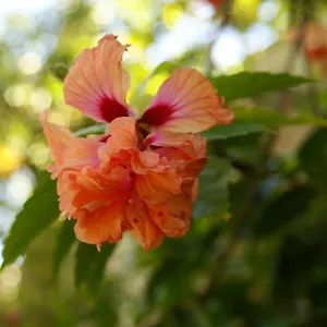 Casaluna Guest house San Andres (San Andres and Providencia Islands)